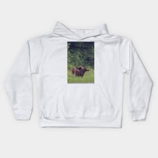 Summer moose in rain, Algonquin Park Kids Hoodie